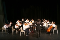 Orchestra performing