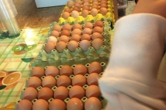 Eggs-e1579057089943